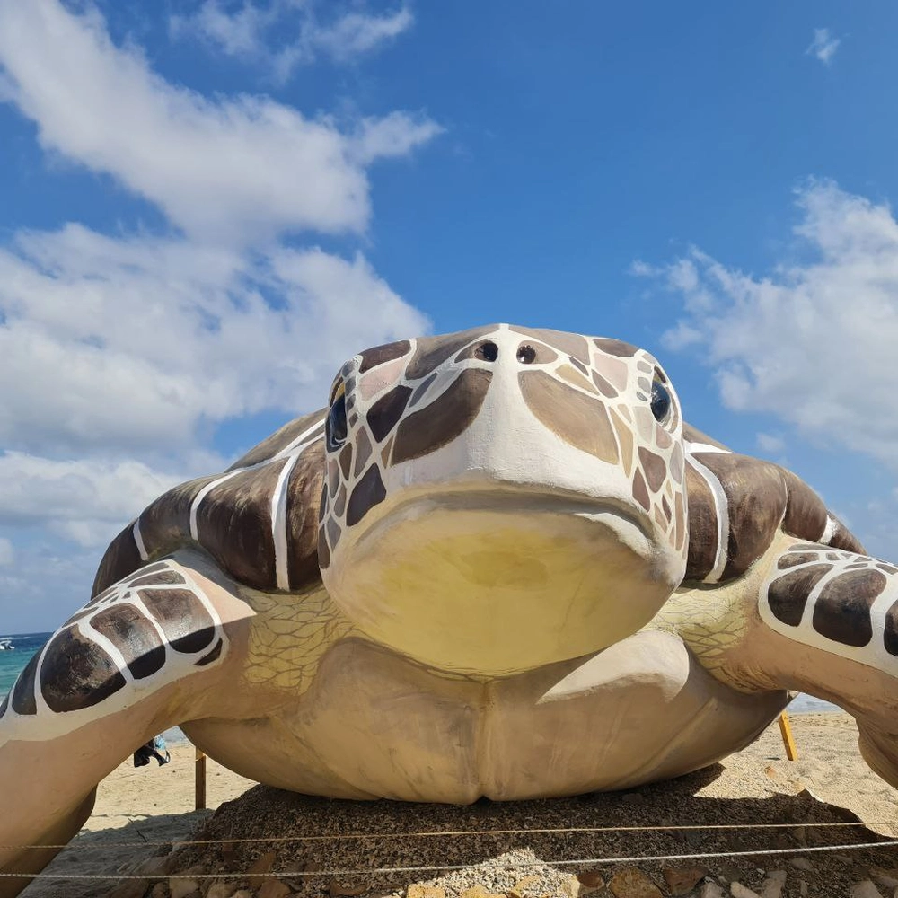 Marsa Alam Trip gallery image 3